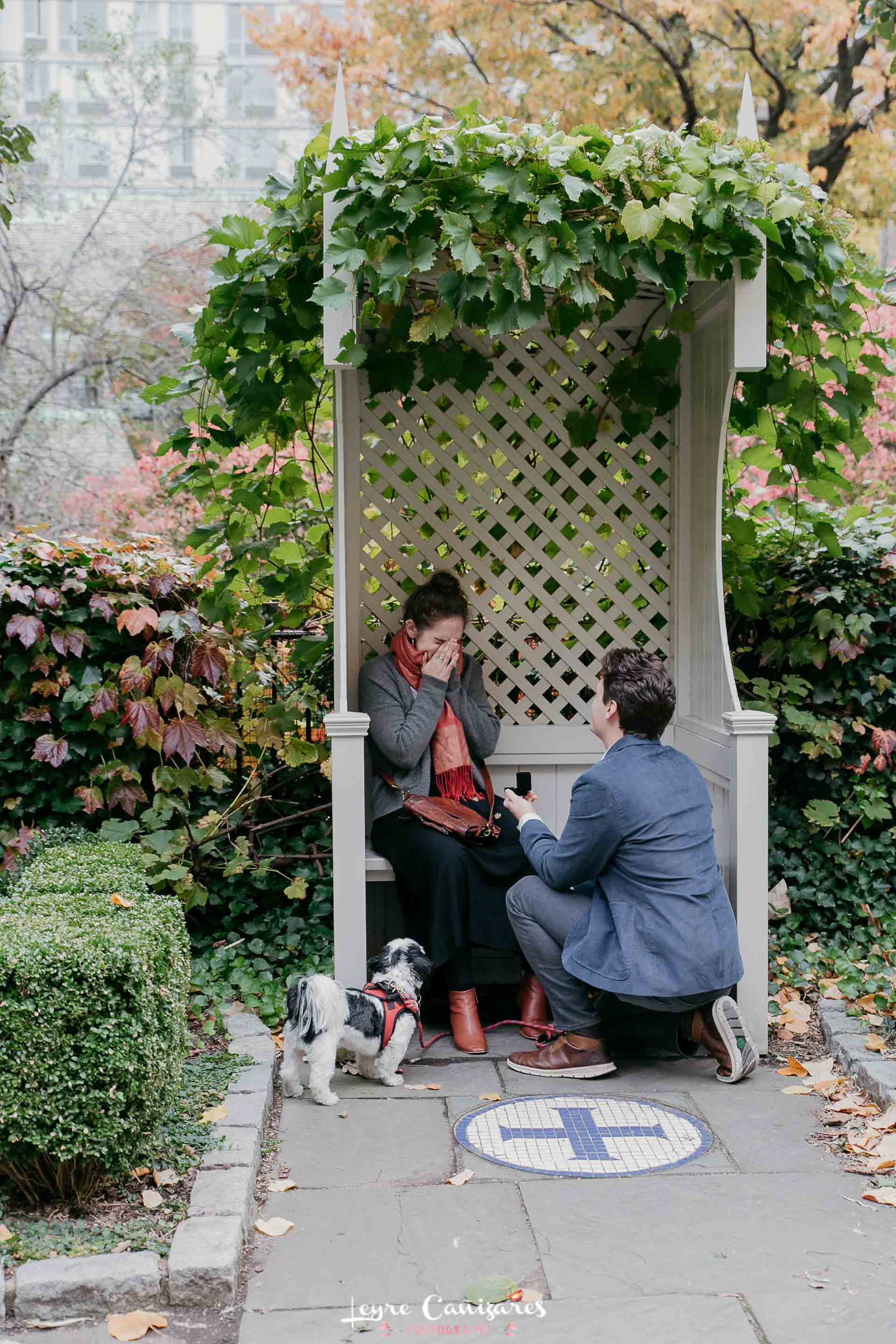 surprise proposal in Morningside drive park, manhattan