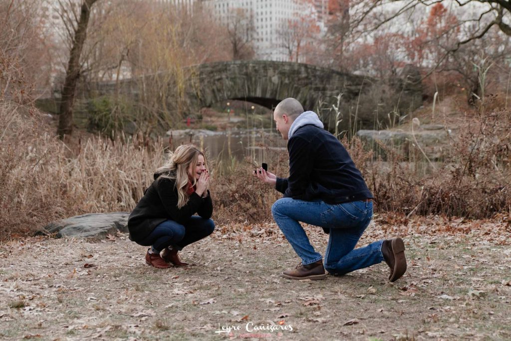 surprise proposal in gapstow bridge, manhattan