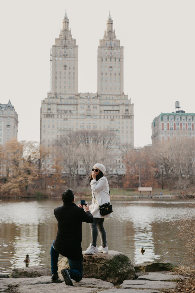 proposal photographer in central park