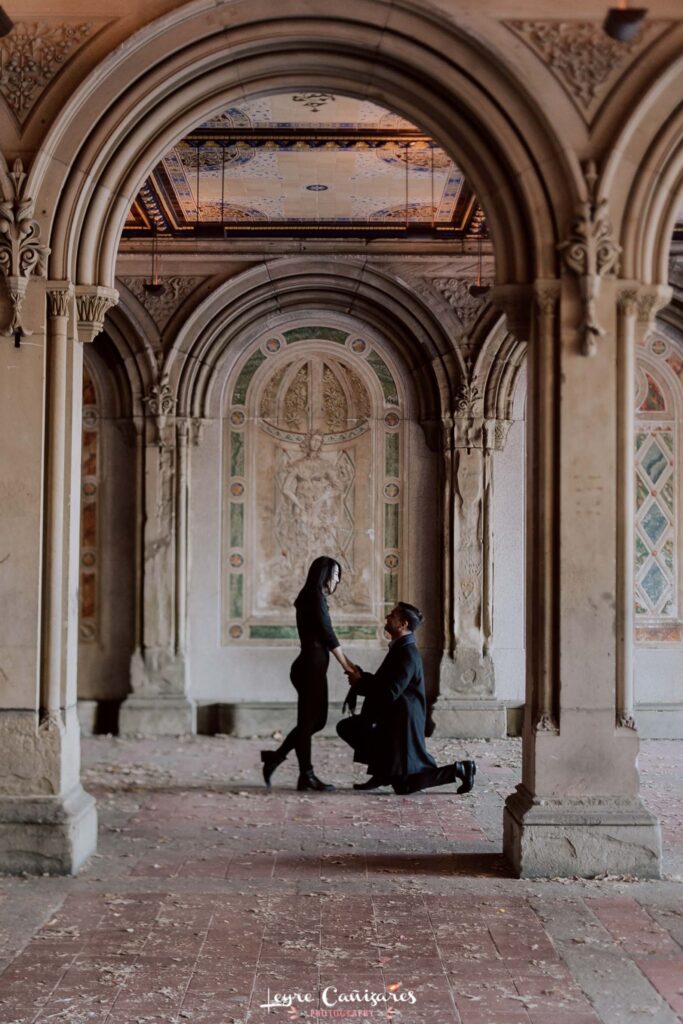 proposal photographer in new york city