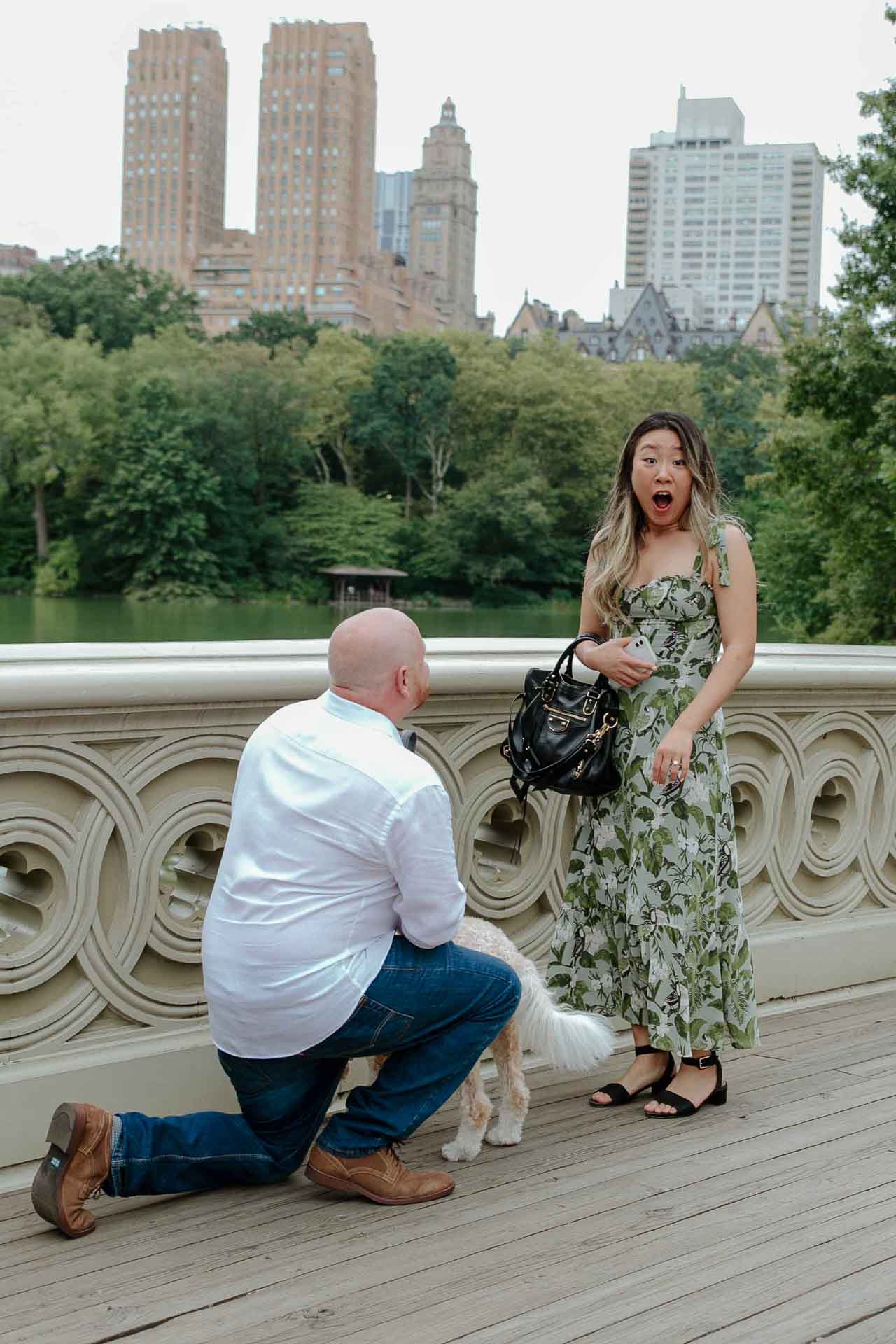 proposal with dog in central park
