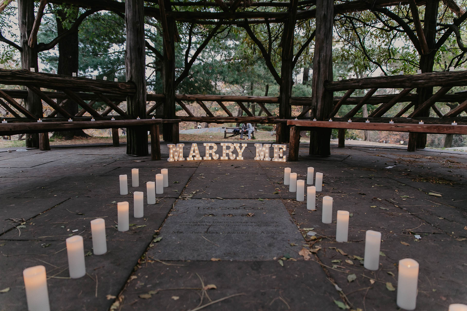 photographer of marriage proposals in nyc