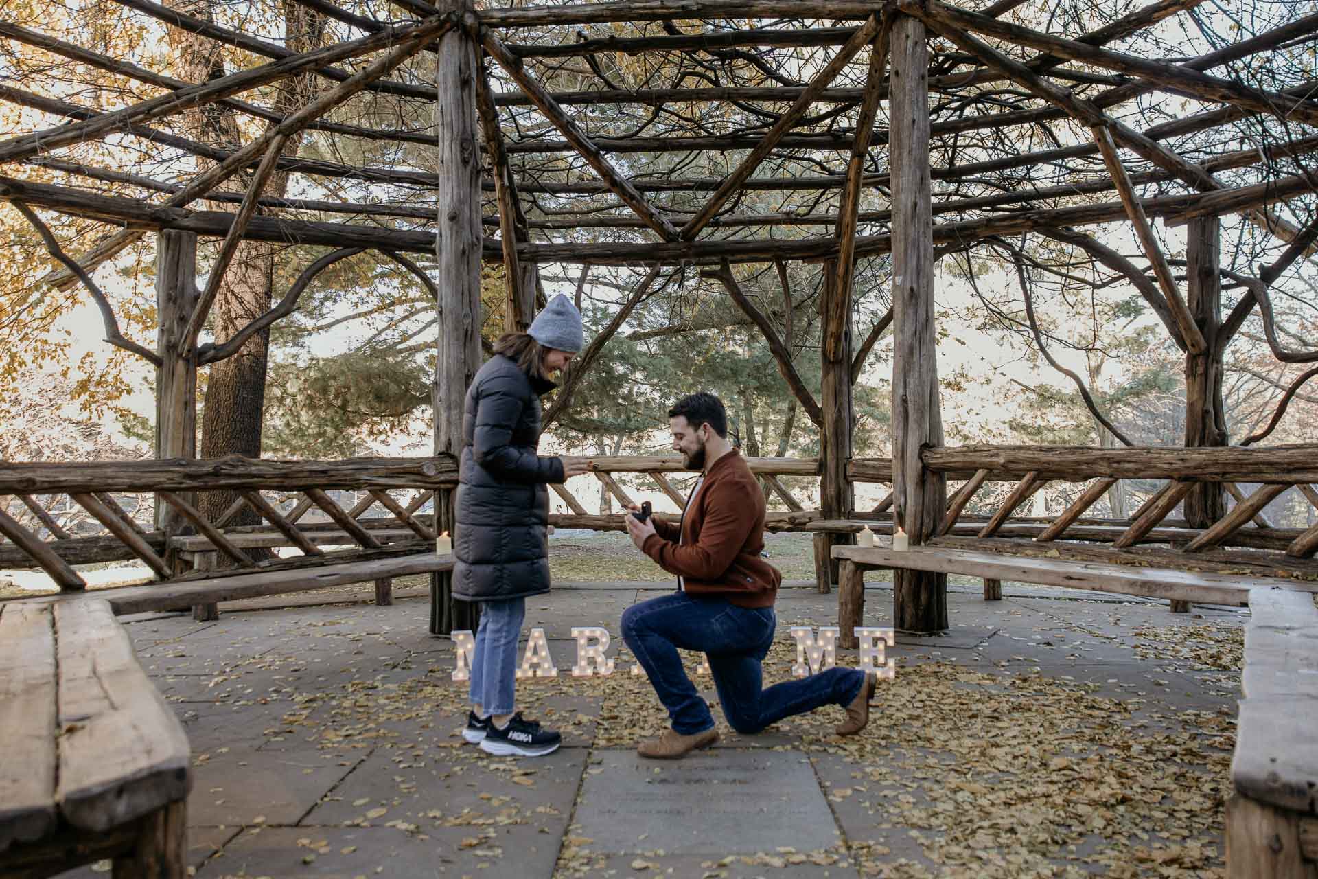 surprise proposal in central park, nyc