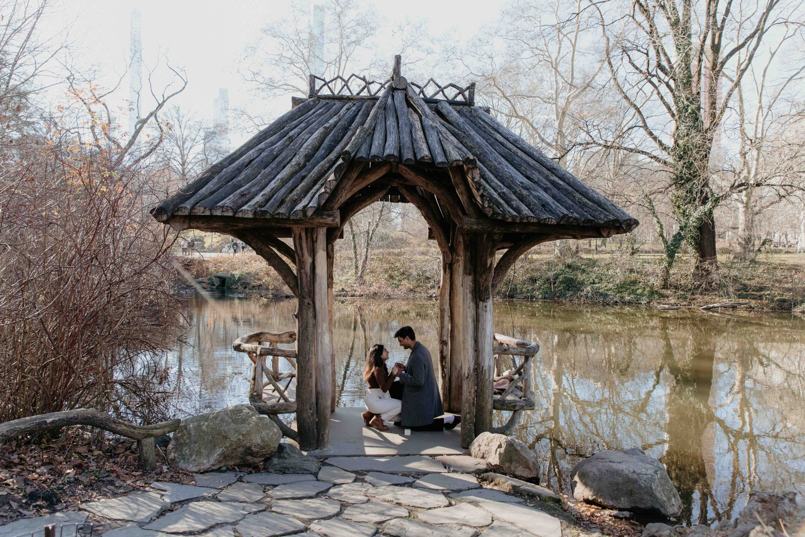 secret proposal in central park, nyc